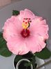 A512D204-09FB-4EB0-99DC-565FC6217D3C