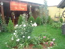 DSC06126