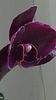 thumbnail - 2019-07-05T220352.163