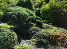14.08.2019 Butchart Garden