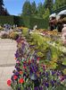 14.08.2019 Butchart Garden