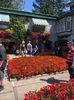 14.08.2019 Butchart Garden