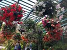 14.08.2019 Butchart Garden