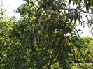 Necunoscut Septembrie