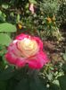 4838DB43-F122-4397-AE54-4916EAC56BD1