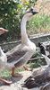 VideoCapture_20190818-183547