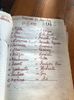 1999 perechile importante ( Nirca)