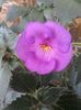 20190827_164945(0)