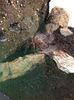 15 aug. Butterfly Garden