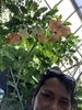 15 aug. Butterfly Garden