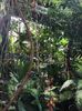 15 aug. Butterfly Garden