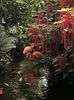 15 aug. Butterfly Garden