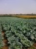 Photo0067