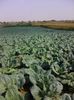 Photo0068
