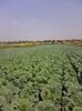Photo0069