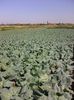 Photo0073