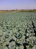 Photo0074