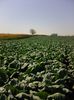 Photo0076