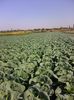 Photo0071