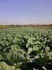 Photo0072
