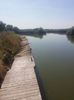 ponton...un pic stramb