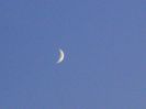 Luna noua in Scorpion