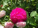 13 iun (183)