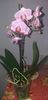 IMG-20190730-WA0000