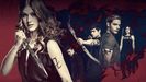Shadowhunters (13)