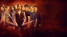 Shadowhunters (15)