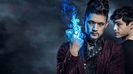 Shadowhunters (20)