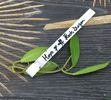 hoya-aff-pubicalyx-black-dragon1