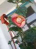 20190915_182845(0)