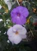 20190915_181423(0)