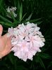 77D70018-CCCD-45E9-BCD6-82FA38A13461
