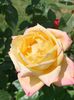 1FDAB9C9-68C0-40EF-9CB3-73226129CEB9
