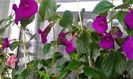20190919_092530-j