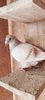 received_2584270388283037