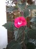20190924_163140(0)