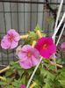 thumbnail - 2019-09-27T225735.615