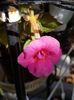 thumbnail - 2019-09-27T231558.476