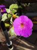 thumbnail - 2019-09-27T231606.715