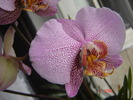 DSC00114