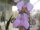 DSC00116