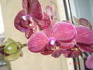 DSC00126