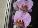 DSC00134