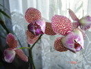 DSC00202