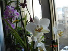 DSC08621