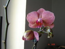 DSC08622