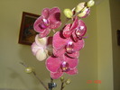 DSC00062